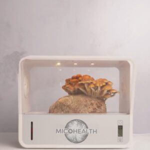 SmartBox 1