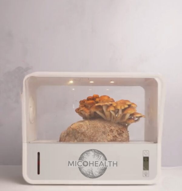 SmartBox 1