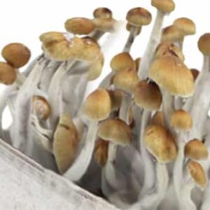 Mazatapec