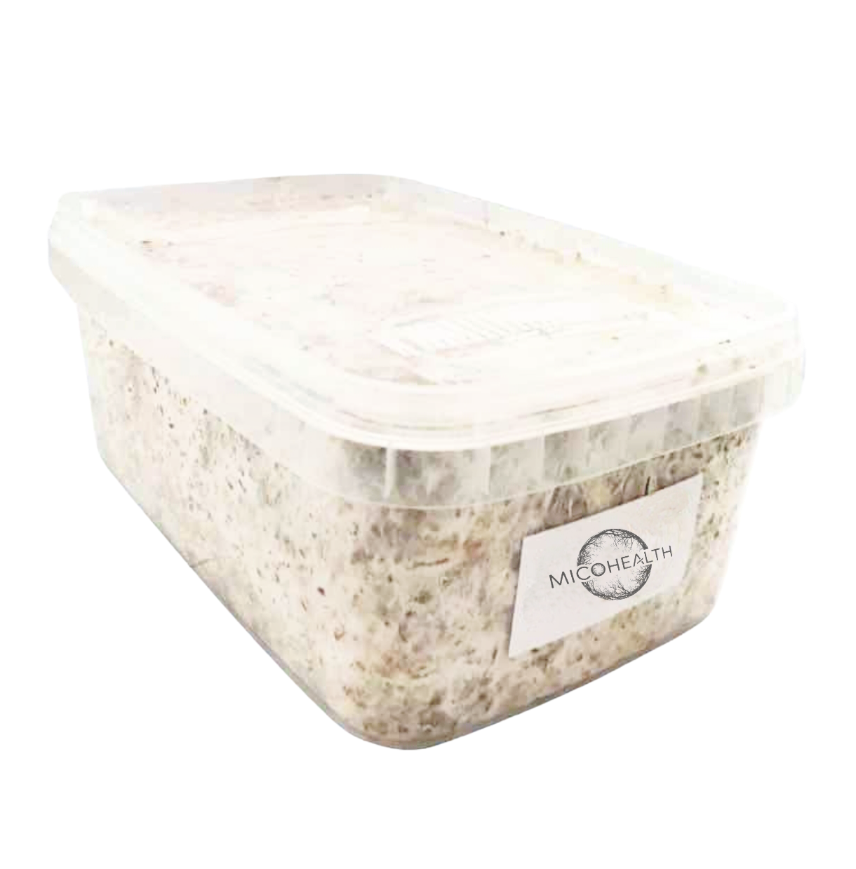 Setas Ecuatorianas pan de setas thai- Albino penis envy- Setas Jack Frost