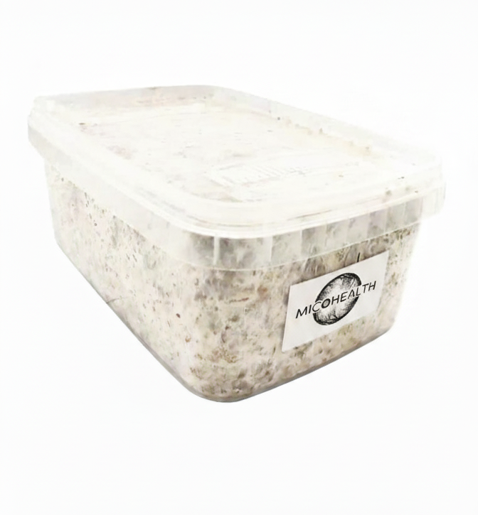 Mckennaii Albino A+ Mazapatec Penis Envy Kit de setas alucinogenas mas potentes Kit de autocultivo de Seta Camboyana Pan de Setas Ecuatorianas