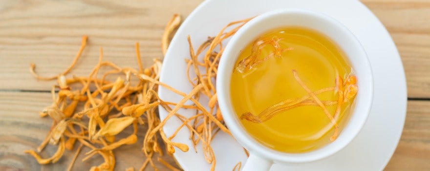 Infusión energizante de Cordyceps en taza transparente